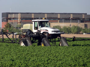 Pesticide Enforcement and Hazardous Substances Program