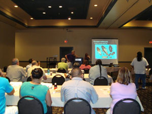 Pesticide Enforcement and Hazardous Substances Program