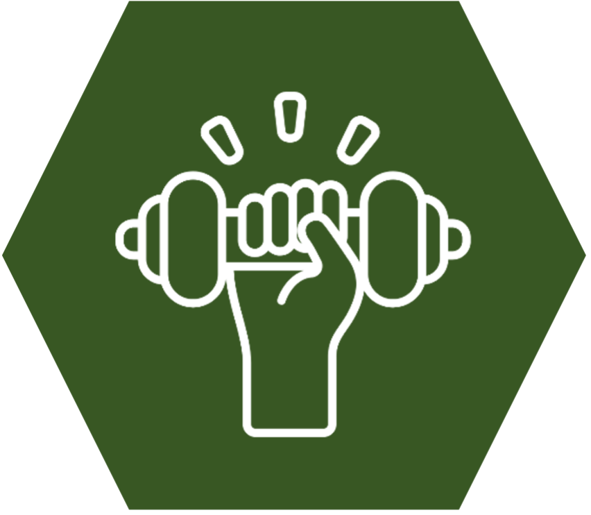 E8 Challenge