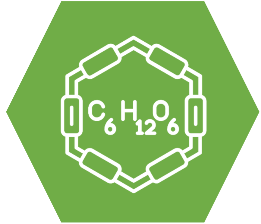 E8 Challenge