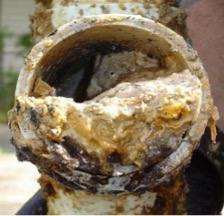 Pretreatment Pretreatment