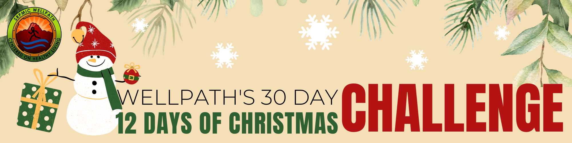 12 days of CHRISTmas Challenge 12 days of CHRISTmas Challenge