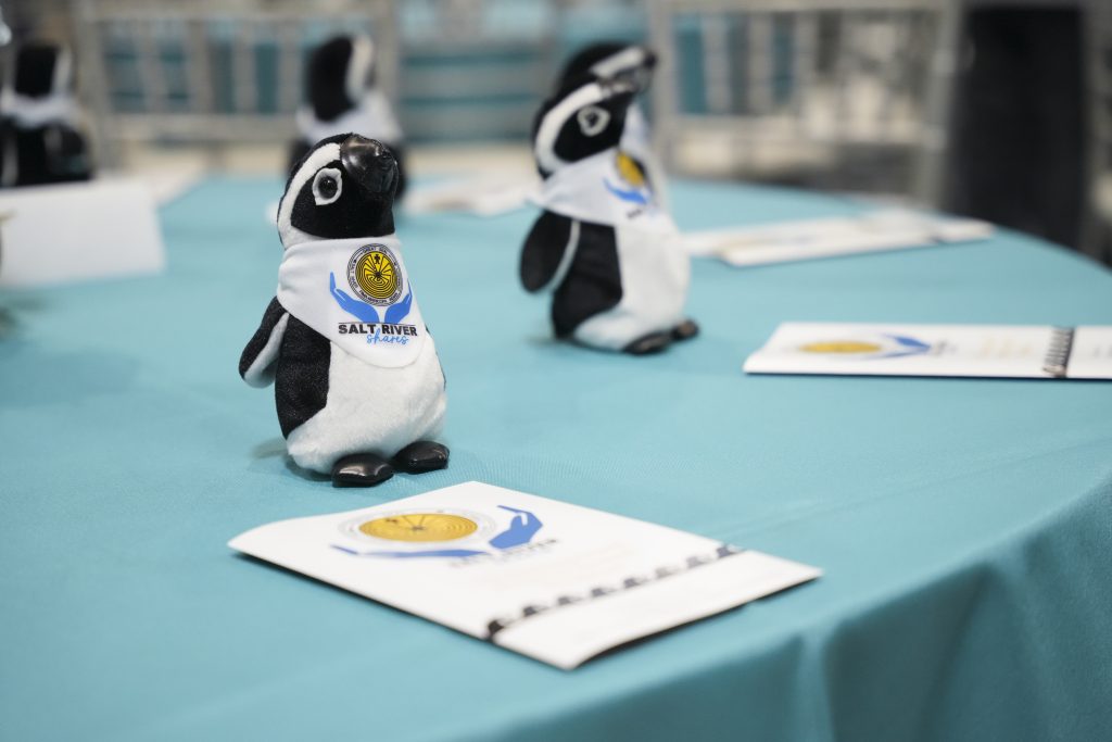 12 Percent Gaming Grant