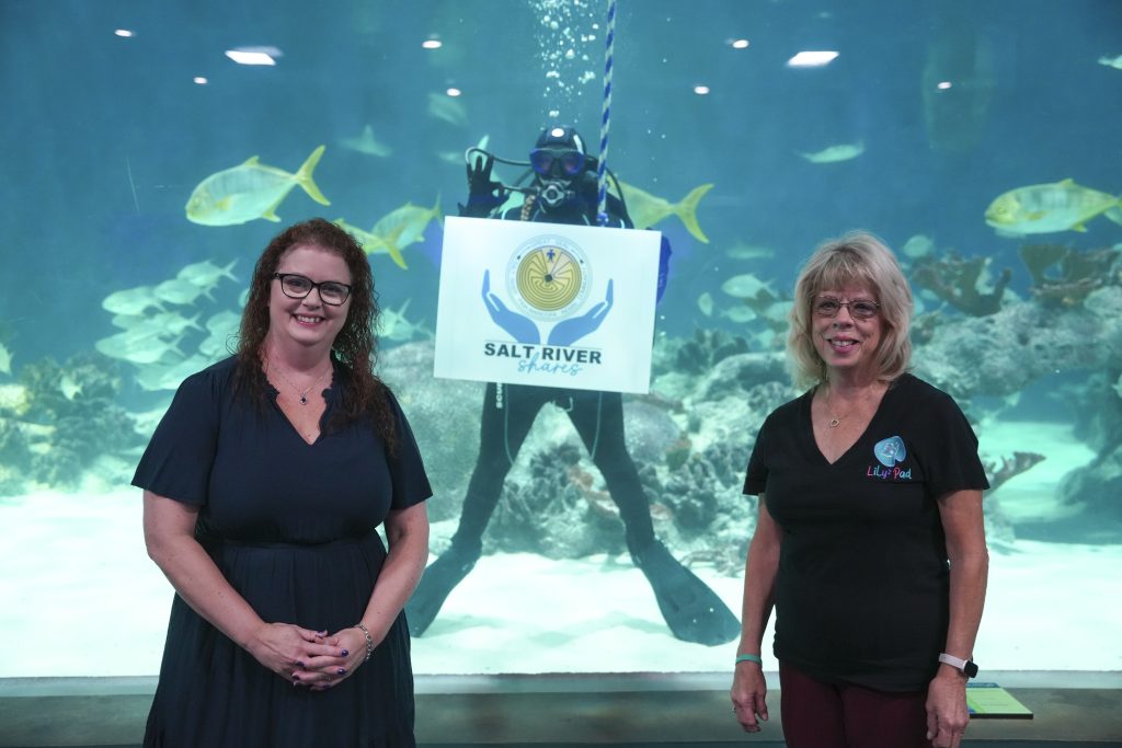 12 Percent Gaming Grant