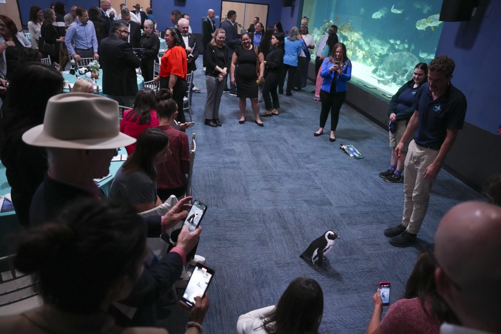 12 Percent Gaming Grant