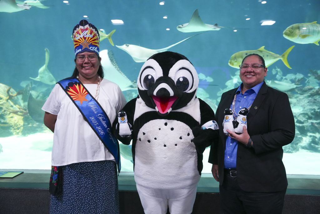 12 Percent Gaming Grant