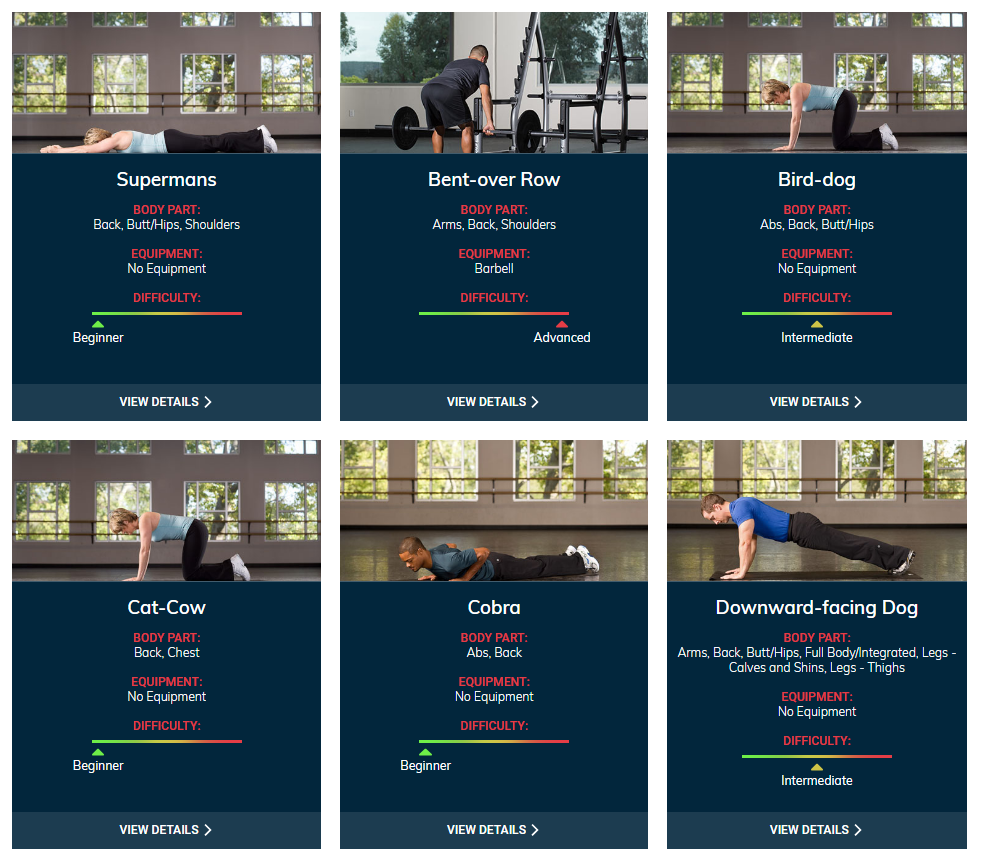 Healthy Back Program