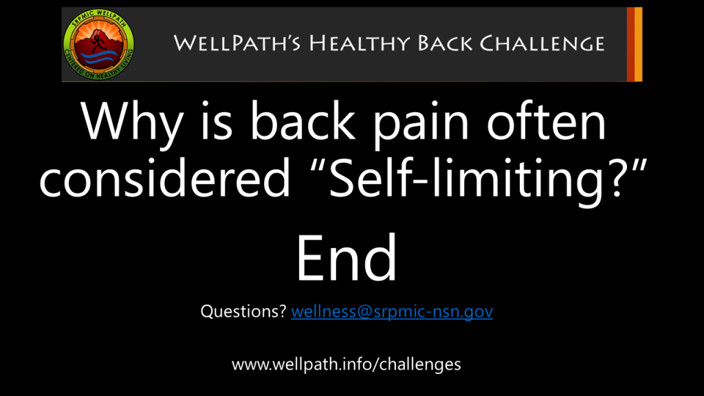Healthy Back Program