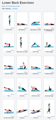Healthy Back Program