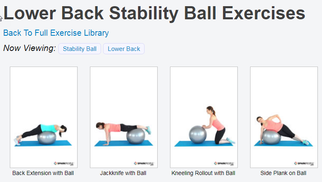 Healthy Back Program